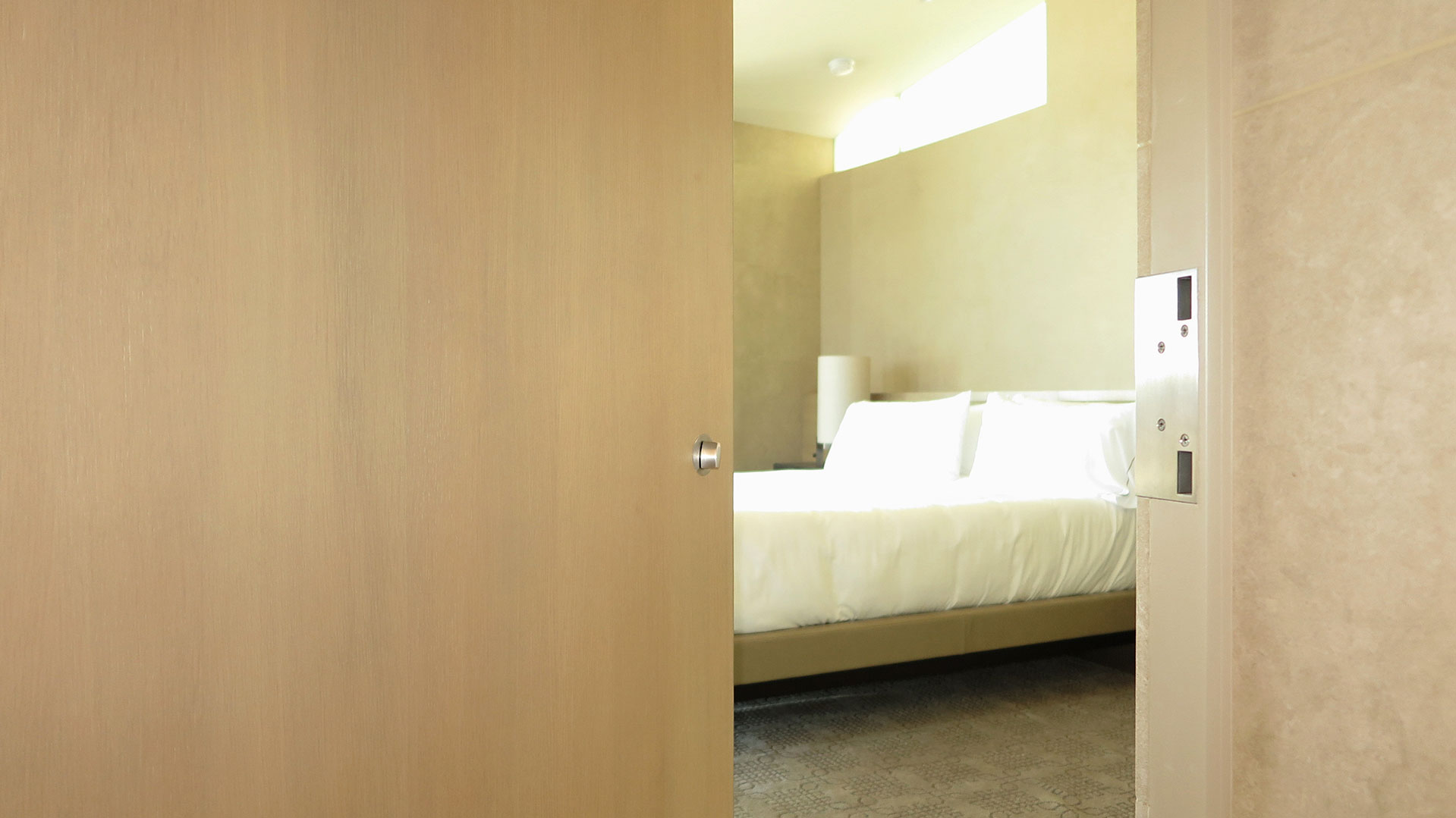 Contemporary Doors