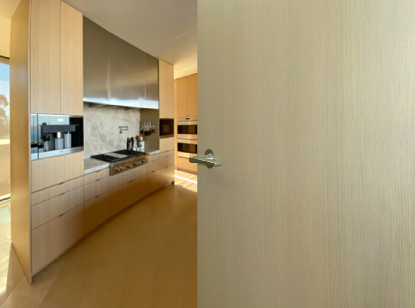 Contemporary Doors