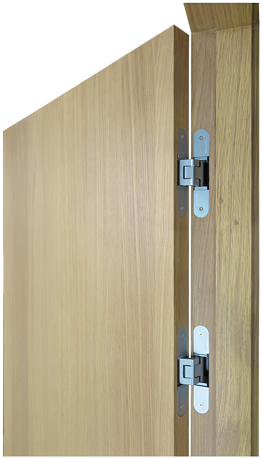 Modern Contemporary Door